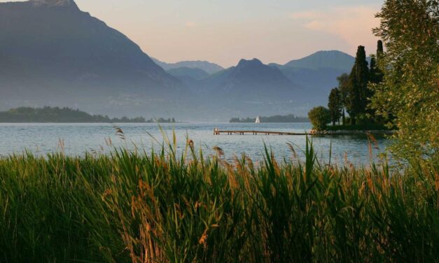 Est temporibus expedita et asperiores perspiciatis dolorum